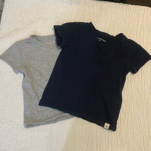 Burt’s Bees toddler tee set size 24MO navy and gray 2 piece set